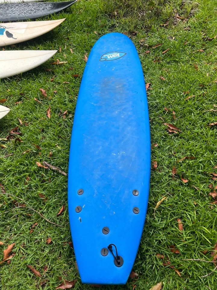 Dripping Wet Foamie 7'0